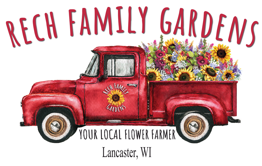 Bringing Color to Your Gardens All Season Long